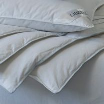 V 100% Cotton Interblend Duvet