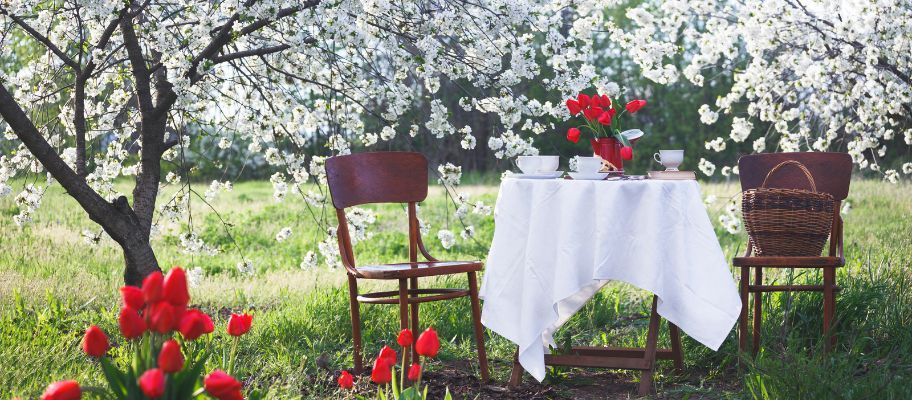 Breakfast In The Garden